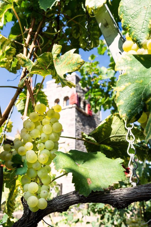Castel De Daval Bed & Breakfast Sierre Dış mekan fotoğraf